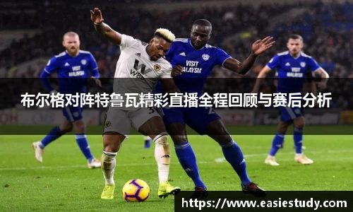 zoty中欧官方app下载